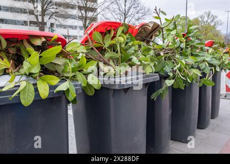 Mülltonnen mit grünem Abfall Stockfoto