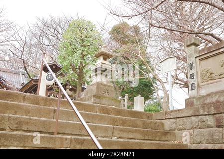 Bunkyo-ku, Tokio, Japan, 24. März 2024. Jigenin Takuzous Inari Stockfoto