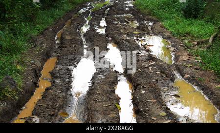 Forststraße mit schlammigen Furchen mit Wasser und Pfützen im ländlichen Raum Stockfoto