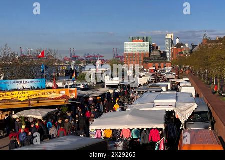 Hamburg, Deutschland. April 2024. Am frühen Morgen sind viele Leute auf dem Fischmarkt bei schönem Wetter unterwegs. Die Händler werben lautstark für ihre Waren. Autor: Thomas Müller/dpa/Alamy Live News Stockfoto
