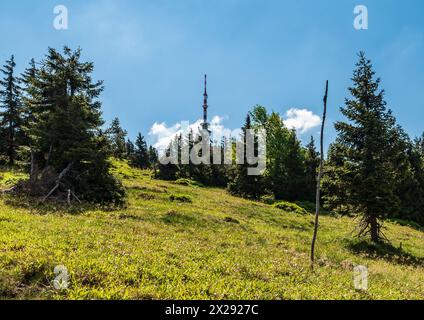 Kommunikationsturm auf dem Praded-Hügel vom Wanderweg in der Nähe der Svykarna-Hütte in Jeseniki-Bergen in Tschechien Stockfoto