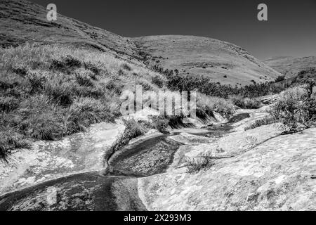 Ein Gebirgsbach, der über glatten Sandstein fließt, durch die afro-alpinen Graslandschaften des Golden Gate Highlands National Park in Schwarz-weiß Stockfoto