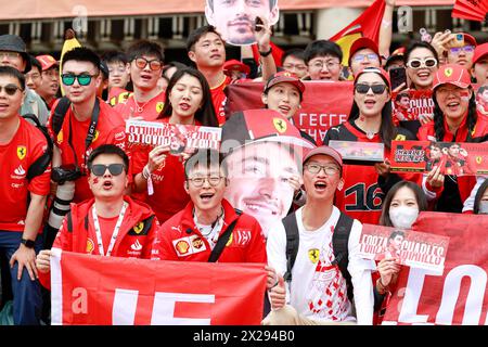 Shanghai, China. April 2024. Fans von LECLERC Charles (mco), Scuderia Ferrari SF-24, Porträt während des Formel 1 Lenovo Chinase Grand Prix 2024, 5. Runde der Formel-1-Weltmeisterschaft 2024 vom 19. Bis 21. April 2024 auf dem Shanghai International Circuit in Shanghai, China - Foto DPPI Credit: DPPI Media/Alamy Live News Stockfoto