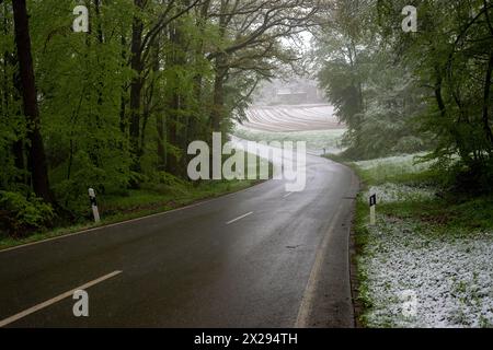 21. April 2024, Bayern, Wüstenwelsberg: Der Eingang zu einem Wald, durch den eine Landstraße führt, ist nebelbedeckt und am Straßenrand liegt Schnee. Das Wetter bleibt wechselhaft. Einige der Straßen sind rutschig. Foto: Pia Bayer/dpa Stockfoto