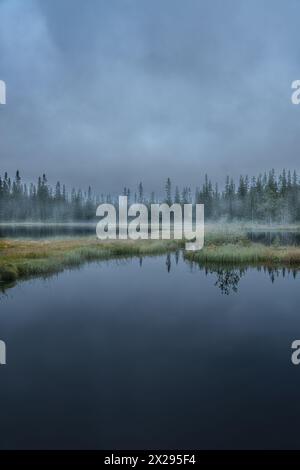 Der Wanderweg überquert den ruhigen norwegischen Teich, umgeben von Wald im Nebel eines kalten morgens in der nordischen Wildnis Stockfoto