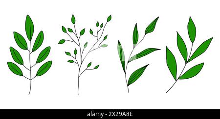 Satz von verschiedenen Zweigen mit Blättern, Doodle-Stil Vektor-Illustration Stock Vektor