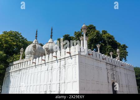 Moti Masjid in Red Fort, Delhi, Indien. UNESCO-Weltkulturerbe Stockfoto