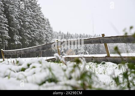 21. April 2024, Baden-Württemberg, Böhmenkirch: Schnee liegt auf den Bäumen, Wiesen und Feldern der Schwäbischen Alb. Es schneite über Nacht. Es werden mehr Schneefälle prognostiziert. Foto: Marius Bulling/dpa Stockfoto