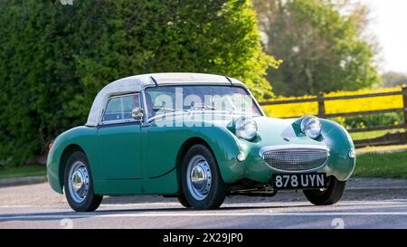 Bicester, UK, 21. April 2024, stolzer Besitzer, der ein klassisches Austin Healey „Frog Eye“-Sprite-Auto aus dem Jahr 1960 am Drive IT Day 2024 fährt, an dem Enthusiasten mit ihren Oldtimer- und Oldtimern Geld für wohltätige Kinder sammeln. Stockfoto