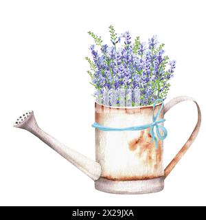 Handgezeichnete Aquarellillustration. Rostige Gießkanne aus Metall mit einem Haufen bunter blauer Lavendelblüten. Federzusammensetzung. Ein Stück Provenc Stockfoto