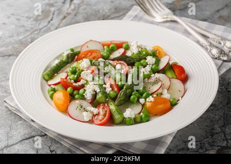 Salat aus Spargel, Radieschen, Kirschtomaten, grünen Erbsen und Ziegenkäse, gekleidet mit Vinaigrette in einem Teller auf dem Tisch. Horizontal Stockfoto