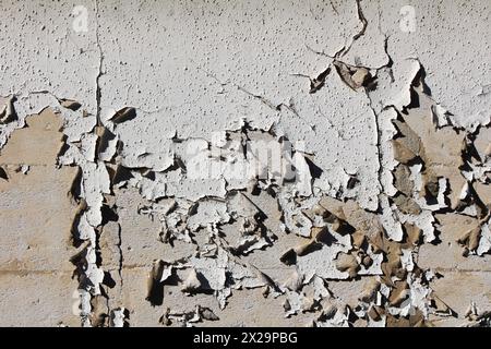 Alte, flauschige, rustikale, selbstklebende weiße Innentapete, die sich von verlassenen, urbanen Familienhäusern ablöst Stockfoto