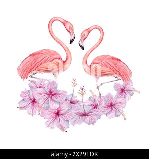 Zwei Flamingovögel mit Hibiskusblüten Aquarellkomposition. Handgezeichnete Illustration isoliert auf weißem Hintergrund. Für tropische Karten, Einladungen Stockfoto