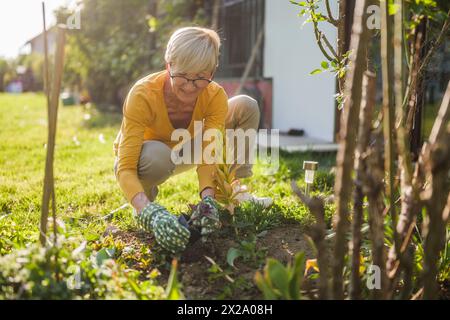 Glückliche Seniorin, die in ihrem Garten gärtet. Sie pflanzt gerade eine Blume. Stockfoto