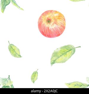 Nahtloses Muster mit Apfelkreisen und roten und grünen Blättern. Lebensmittelillustration handgemalt im botanischen Stil auf weißem Hintergrund für Textil Stockfoto