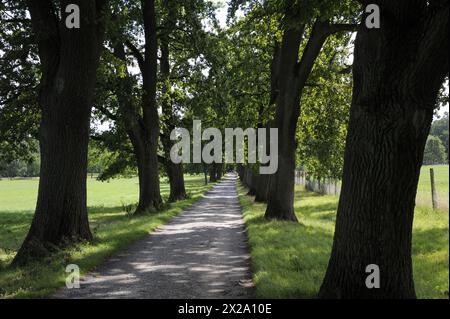 Tierpark Sababurg, Grün- und Relaxbereiche Stockfoto