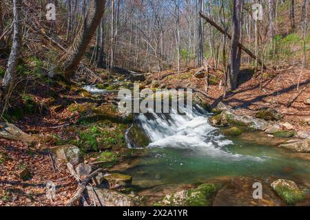 Kleine Kaskade am Roaring Run Creek im Alleghany County. Erholungsgebiet Mit Roaring Run. Virginia. USA Stockfoto