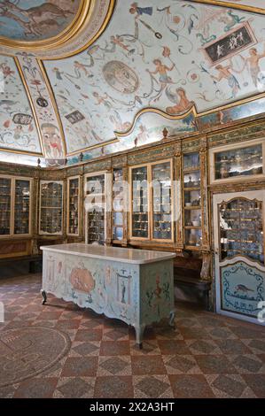 Die antike Apotheke (18. Jahrhundert) des Trisulti Charterhauses mit Freskengewölbe von Giacomo Manco im pompeanischen Stil, Collepardo, Latium, Italien Stockfoto