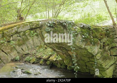 Steinbrücke über den Kreuzbach in Heckengäu Stockfoto