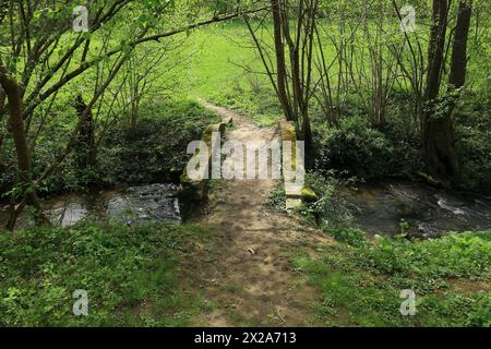 Steinbrücke über den Kreuzbach in Heckengäu Stockfoto