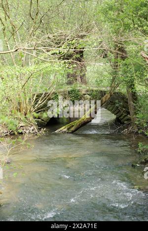 Steinbrücke über den Kreuzbach in Heckengäu Stockfoto