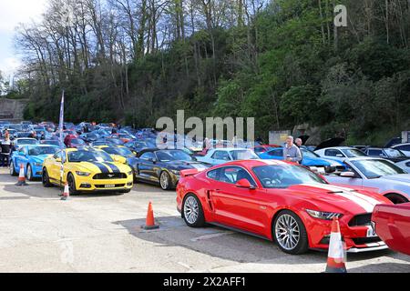 Hunderte von Ford Mustangs auf der Finishing Straight, Mustang 60, 20. April 2024, Brooklands Museum, Weybridge, Surrey, England, Großbritannien, Europa Stockfoto