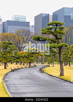 Ein gewundener Pfad in einem Park mit vielen Bänken vor dem Hintergrund einer großen Stadt Stockfoto