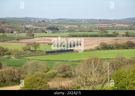 Der Zug der Tarka Line GWR fährt nach Barnstaple im River Taw Valley Stockfoto