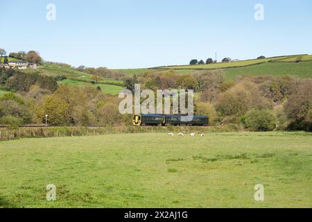 Tarka Line Zugverbindung von Barnstaple nach Exeter südlich von Umberliegh Stockfoto