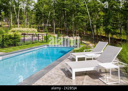 Zwei weiße Liegestühle am Rande von in-Pool umgeben von klaren Glas und schwarzem Metall Zaun im Wohngebiet Hinterhof im Sommer, Quebec, Cana Stockfoto