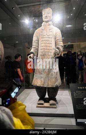 Figuren der Terrakotta-Armee, Xian, Provinz Shaanxi, China, Asien, Terrakotta-Krieger, der in einer Museumsvitrine steht und von einem Museum umgeben ist Stockfoto