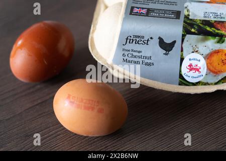 Tesco Finest Eigenmarke Free Range Chestnut Maran Eies and a Eierkarton, England. Konzept: Supermarkteier, Hühnereier, britische Löwenqualität Stockfoto