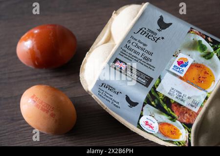 Tesco Finest Eigenmarke Free Range Chestnut Maran Eies and a Eierkarton, England. Konzept: Supermarkteier, Hühnereier, britische Löwenqualität Stockfoto