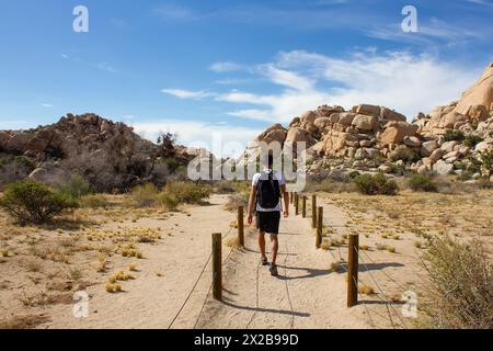 Eintritt zum Barker Dam Loop Trail im Joshua Tree National Park, Kalifornien, USA Stockfoto