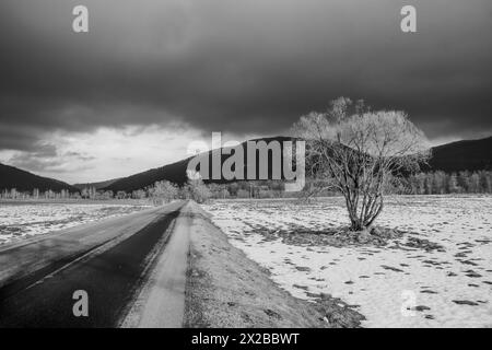 Leere Straße in den Bergen von Bieszczady und ein einsamer Baum. Polen, Europa. Stockfoto