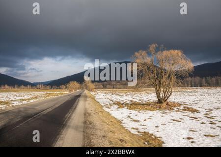 Leere Straße in den Bergen von Bieszczady und ein einsamer Baum. Polen, Europa. Stockfoto