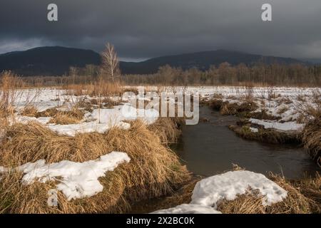 Beaver Pool in den Bieszczady Mountains. Polen, Europa. Stockfoto