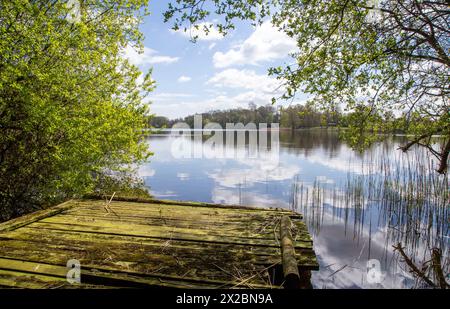 Der natürliche See von Comber Mere. Cheshire ist mit einer Fläche von etwa 132 Acres (53 ha) der größte See in einem privaten englischen Park Stockfoto