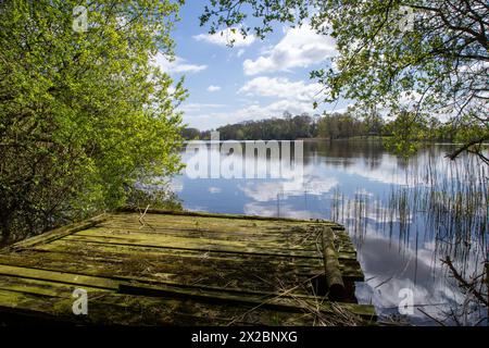 Der natürliche See von Comber Mere. Cheshire ist mit einer Fläche von etwa 132 Acres (53 ha) der größte See in einem privaten englischen Park Stockfoto