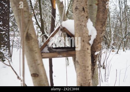 Hausgemachte Futtermittel oder Plattform zum Füttern von Vögeln und Eichhörnchen im Winter und Frühling während der Hungerzeit. Futtermittel für Vögel und Eichhörnchen in A Stockfoto