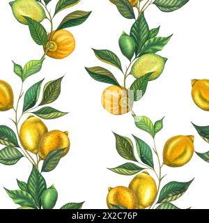 Aquarellmuster mit Zitronenzweigen und Limettenzweigen mit Blättern und grüner Zitrone. Handgemalte gelbe Früchte isoliert auf weißem Hintergrund Stockfoto