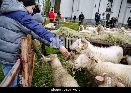 Kinder füttern eine Schafherde, während die Weidezeit mit traditionellen Folklore- und religiösen Feiern beginnt, die lokal Redyk genannt werden, in den Tatra-Bergen. Redyk beginnt traditionell um den 23. April, eine Zeit, in der Schafhirten, die lokal Baca genannt werden, Schafherden aus Dörfern aufwärts nehmen, weg von der Zivilisation für die etwa ein halbes Jahr dauernde Weidezeit. Der Saisonbeginn ist eine festliche Zeit für die Bergwanderer aus Tatra. Und dieser Teil von Karpaty als Schafzucht ist historisch gesehen eine wichtige Einkommensquelle für die Region. (Foto: Dominika Zarzycka/SOPA Images/SIPA USA) Stockfoto