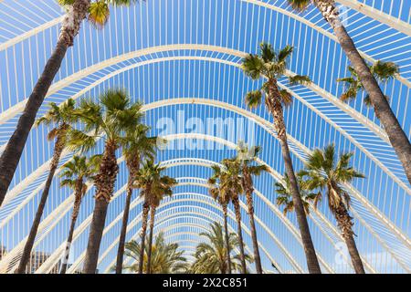 Valencia, Spanien - 17. April 2024: Außenstruktur des Umbracle Modern Building mit seinem Grün. Palmen auf dem Hintergrund des Himmels Stockfoto