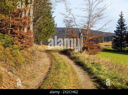 Herbstlandschaft mit Wiese, Wald und Feldweg Stockfoto