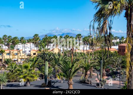 Palmenallee im Luxusresort in Costa Calma, Insel Fuerteventura, Kanarischen Inseln, Reiseziel in Spanien Stockfoto