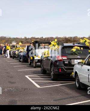 Newport, RI. Audrain's Daffodil Parade mit dekorierten Motorsportwagen am Second Beach. April 2024. @ Veronica Bruno / Alamy Live News Stockfoto