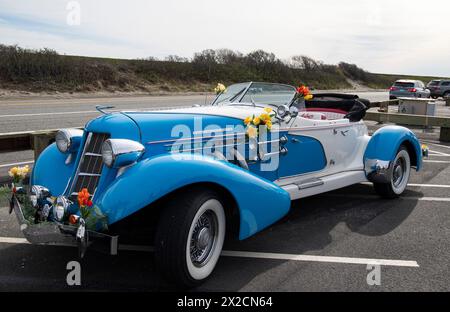 Newport, RI. Audrain's Daffodil Parade mit dekorierten Motorsportwagen am Second Beach. April 2024. @ Veronica Bruno / Alamy Live News Stockfoto