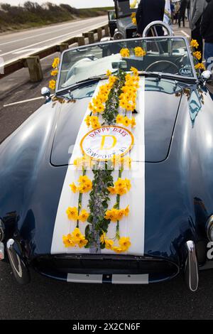 Newport, RI. Audrain's Daffodil Parade mit dekorierten Motorsportwagen am Second Beach. April 2024. @ Veronica Bruno / Alamy Live News Stockfoto