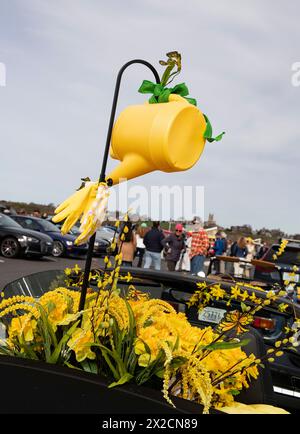 Newport, RI. Audrain's Daffodil Parade mit dekorierten Motorsportwagen am Second Beach. April 2024. @ Veronica Bruno / Alamy Live News Stockfoto