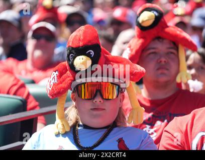 St. Louis, Usa. April 2024. St. Fans von Louis Cardinals tragen während eines Spiels zwischen den Milwaukee Brewers und der St. einen Cardinals Give-A-Way Hut Louis Cardinals im Busch Stadium in St. Louis am Sonntag, 21. April 2024. Foto: Bill Greenblatt/UPI Credit: UPI/Alamy Live News Stockfoto